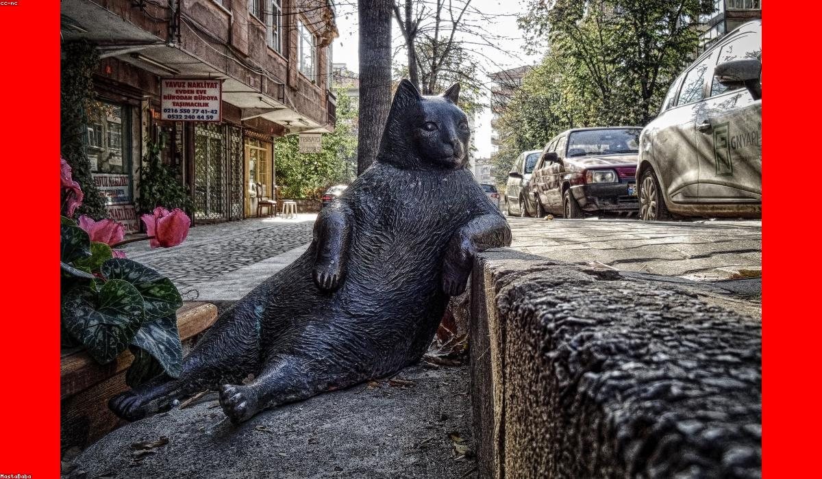Ev Taşınırken Yapılacaklar Listesi